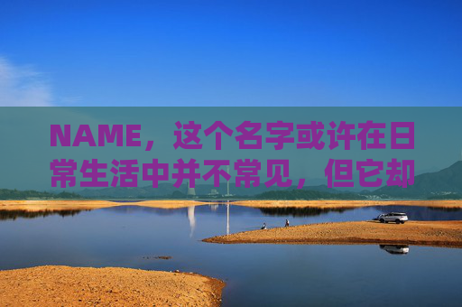 NAME，这个名字或许在日常生活中并不常见，但它却在某些领域里扮演着重要的角色。今天，让我们一起来探索这个名字背后的故事和意义